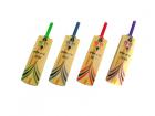 PNY Cricket Attache